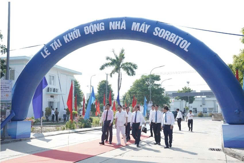 SOFAVI TÁI KHỞI ĐỘNG NHÀ MÁY 1.078 TỶ ĐỒNG